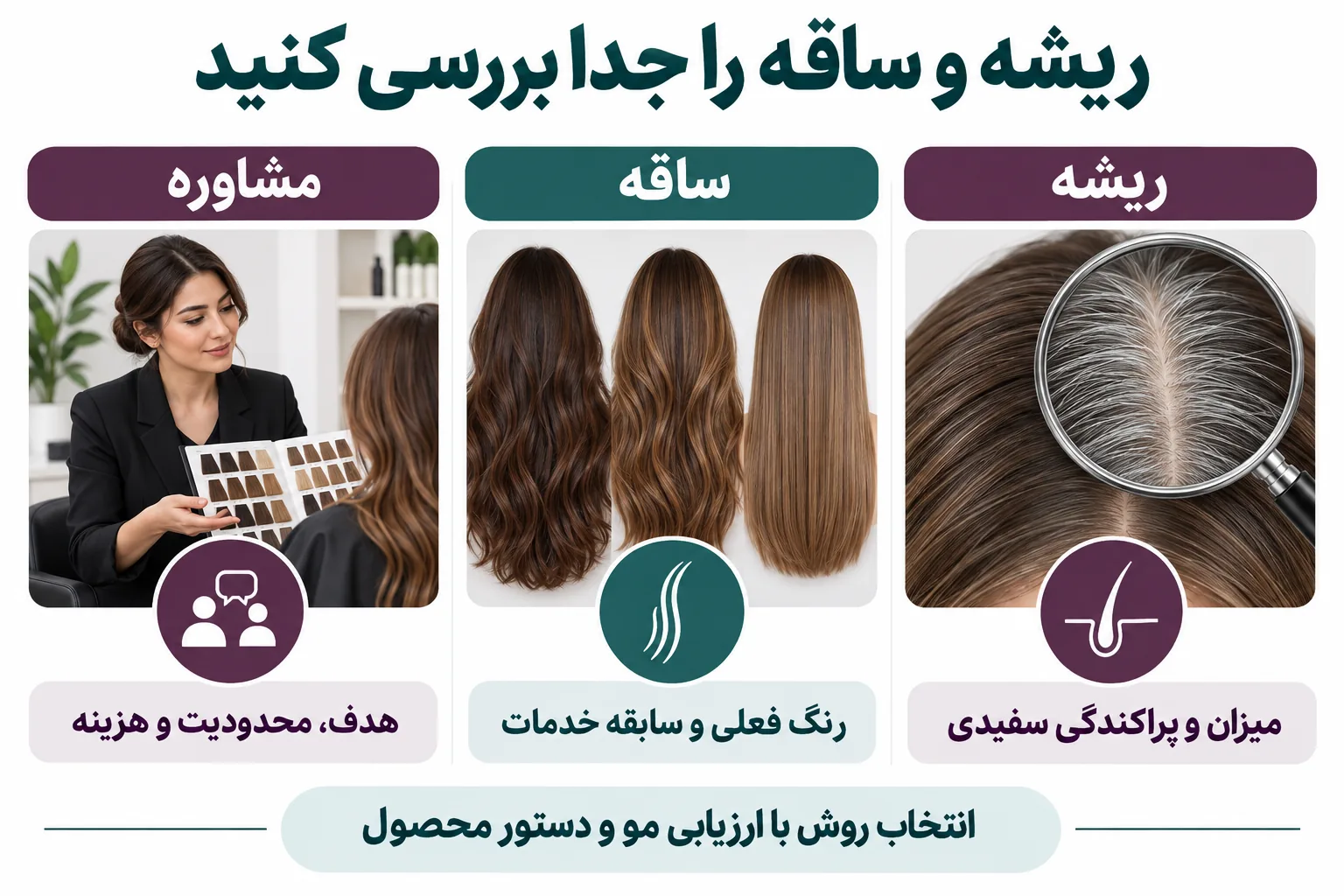 ریشه و ساقه را جدا بررسی کنید